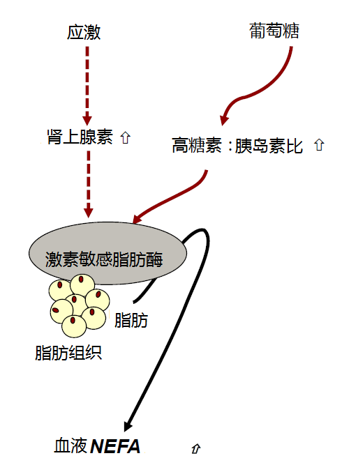 能量供应-